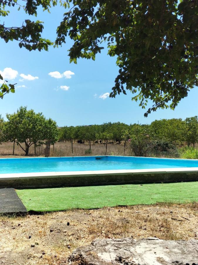 Rod Ranch Livestock - Appartamento Con Camino E Vista Piscina Campagnano Di Roma Exteriér fotografie